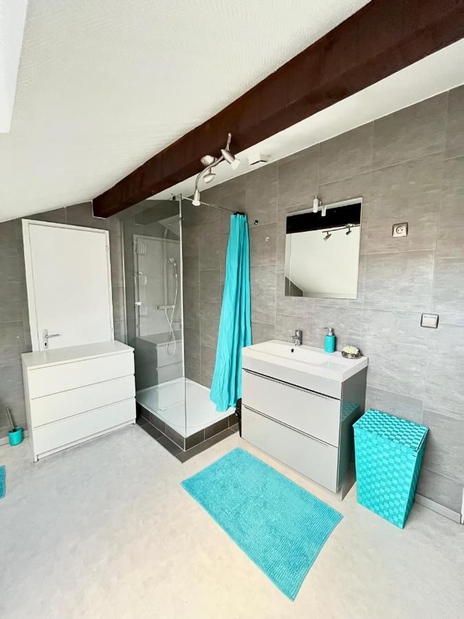 Pin'S - Magnifique Appartement Sarrebourg Exteriör bild