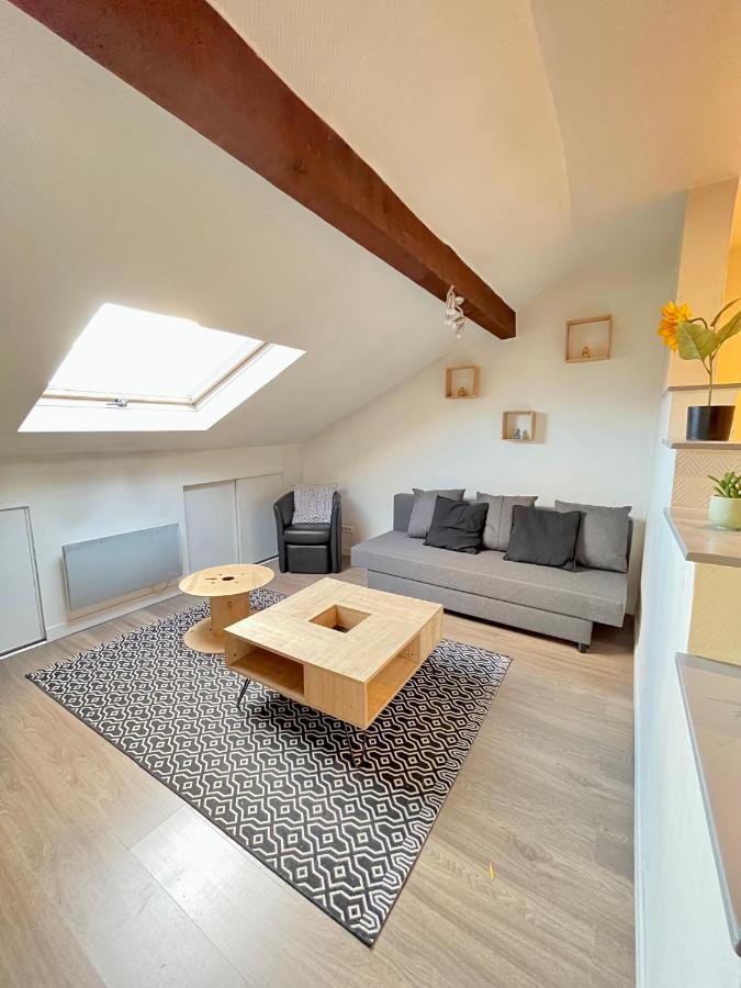 Pin'S - Magnifique Appartement Sarrebourg Exteriör bild