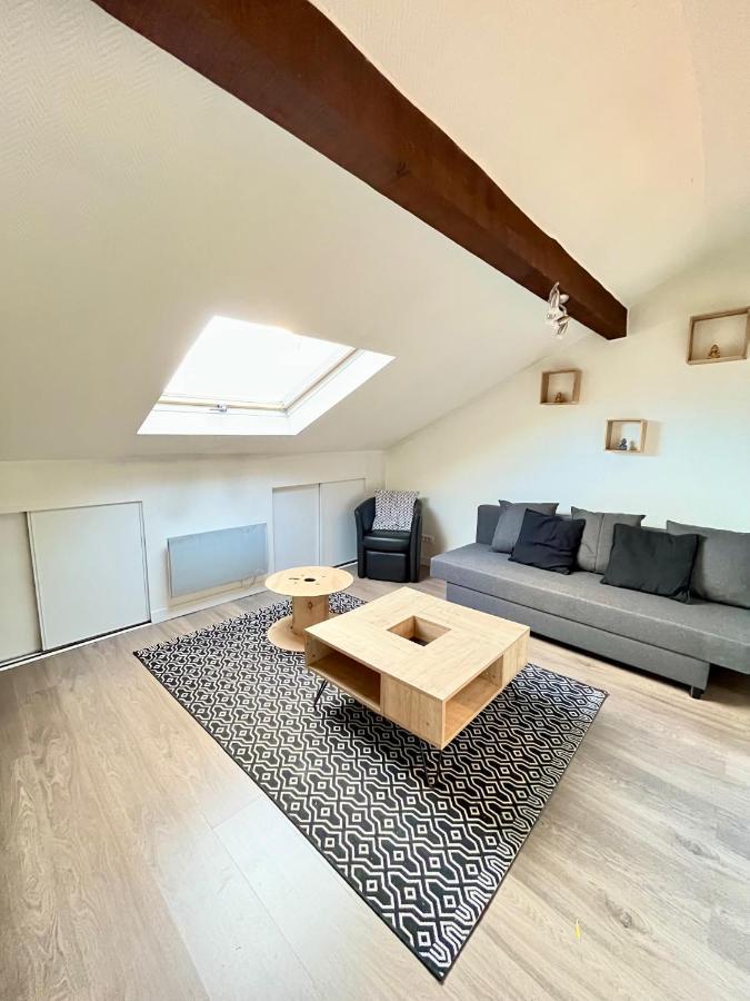 Pin'S - Magnifique Appartement Sarrebourg Exteriör bild