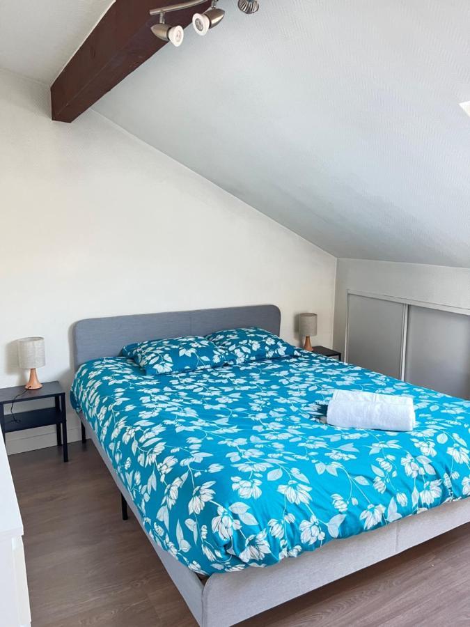 Pin'S - Magnifique Appartement Sarrebourg Exteriör bild