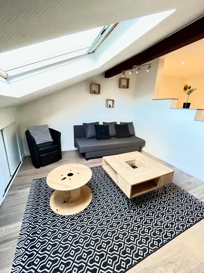 Pin'S - Magnifique Appartement Sarrebourg Exteriör bild